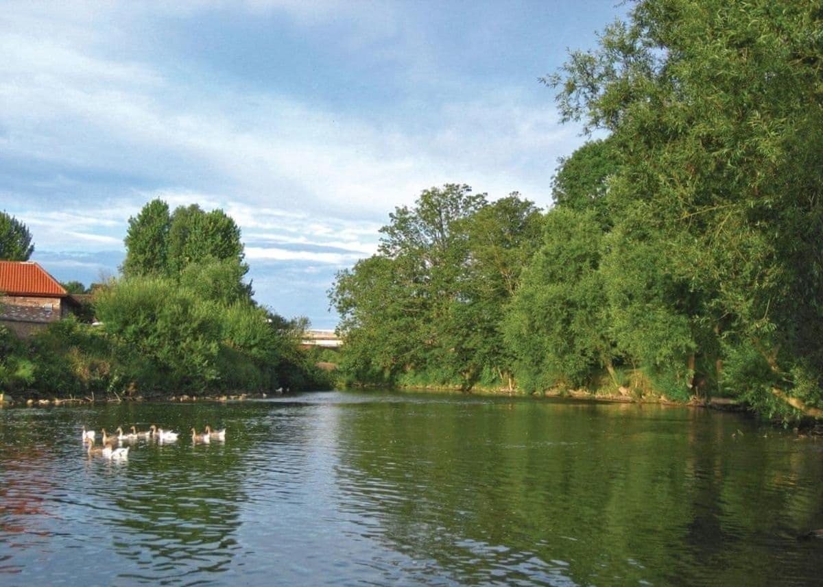 Weir Country Park Otel Holtby Dış mekan fotoğraf
